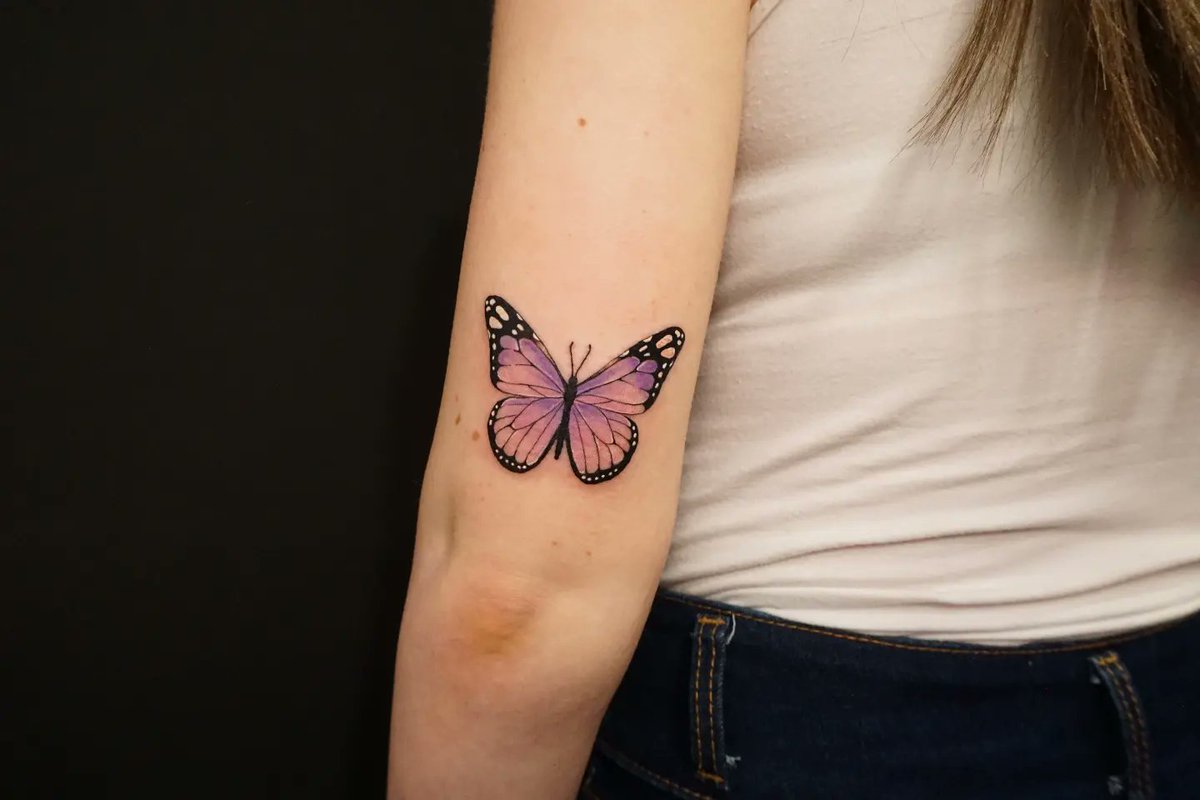 jazz harbord ✨ tweet media