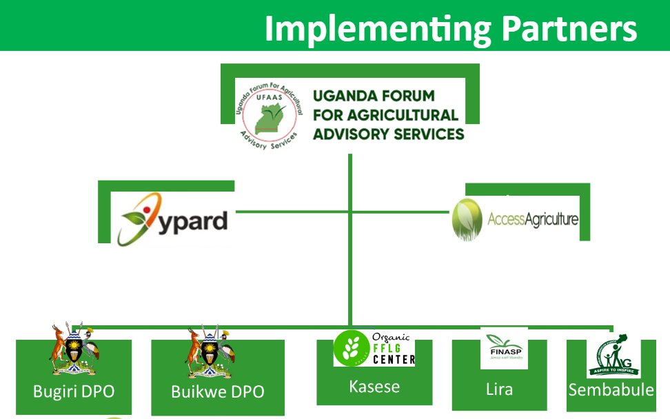 We were humbled to attend the launch of the GP-SAEP project leading the implementation. It shows a great level of trust @UFAAS13 has in youth to save the future of nutrition. Thanks to Hon Minister of state for Agriculture @FredBwino for gracing the event and all the partners