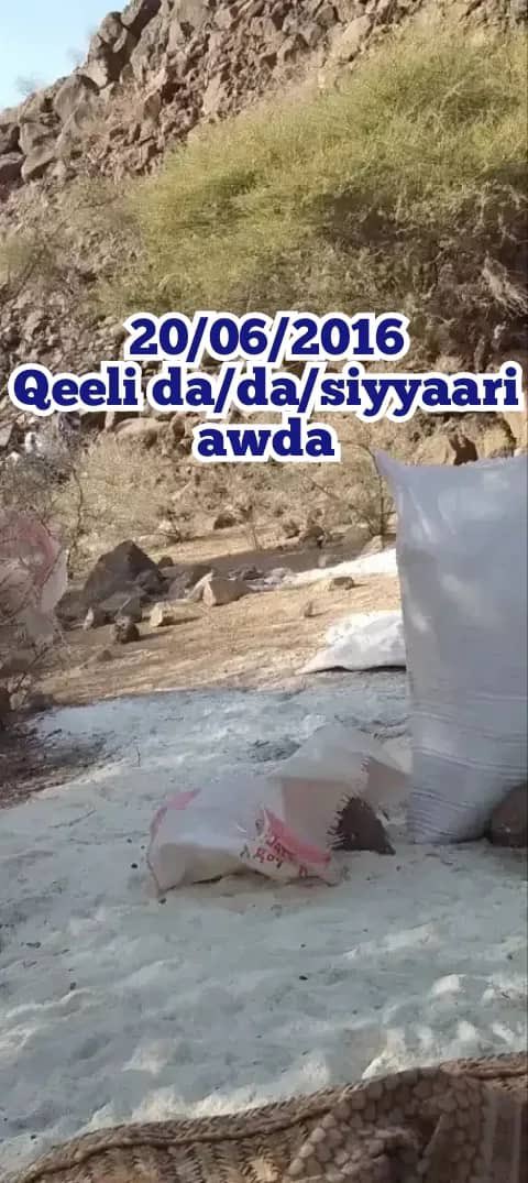 loubak dongolo tweet media