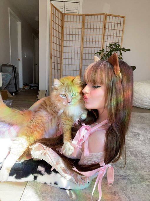 Just a cat and her cat https://t.co/E4J15ttelB