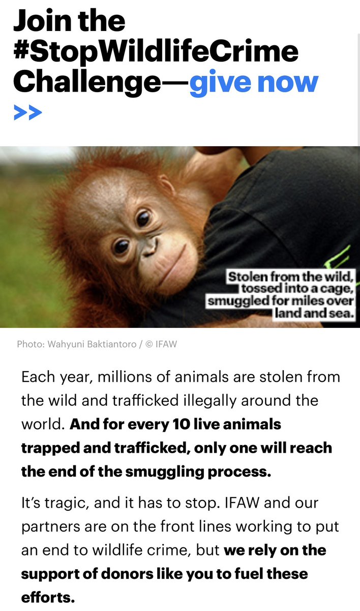 Join the #StopWildlifeCrime challenge and help the animals ❤️ @ifawglobal secure.ifaw.org/united-states/…