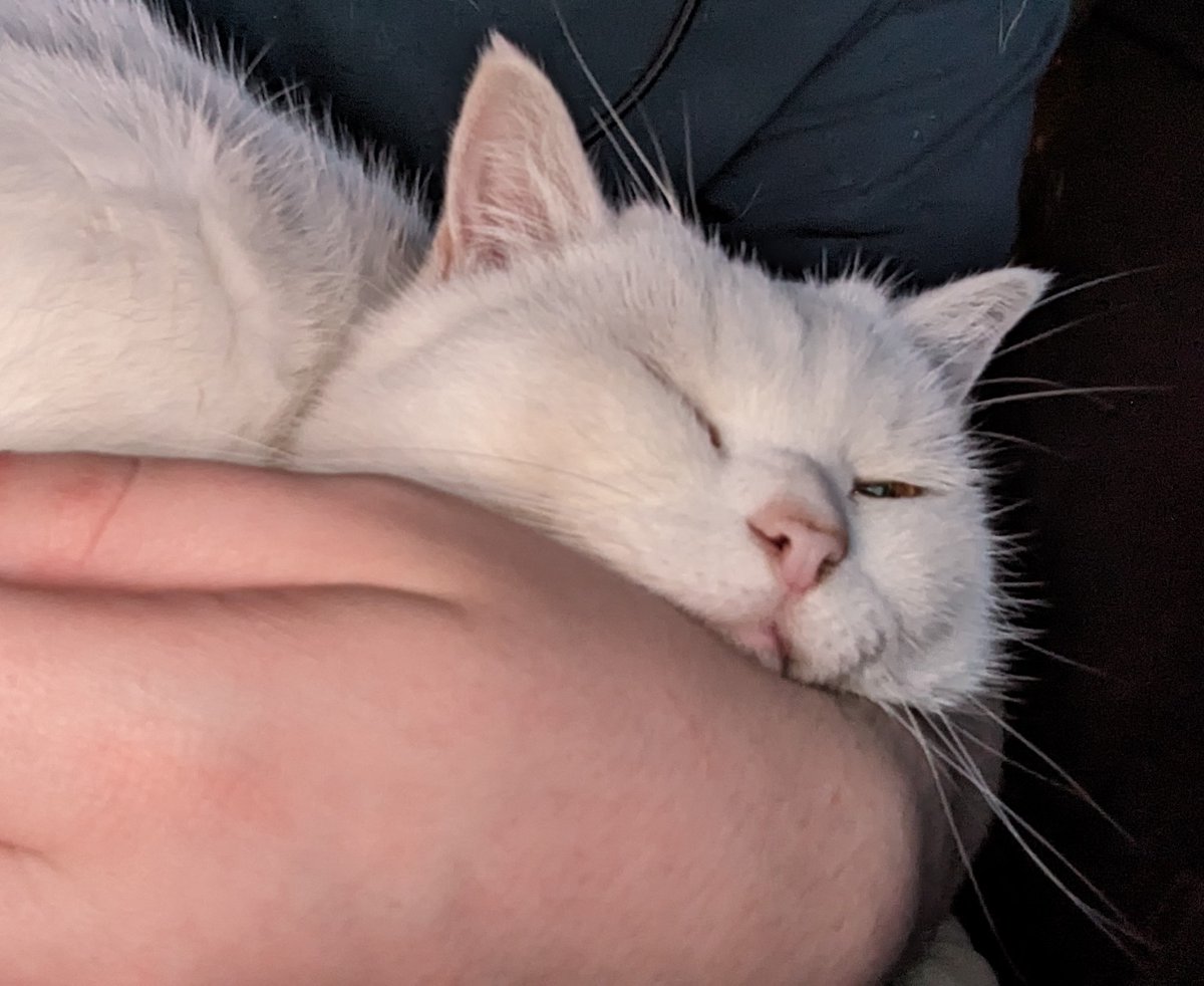 FrontlineFishy tweet media