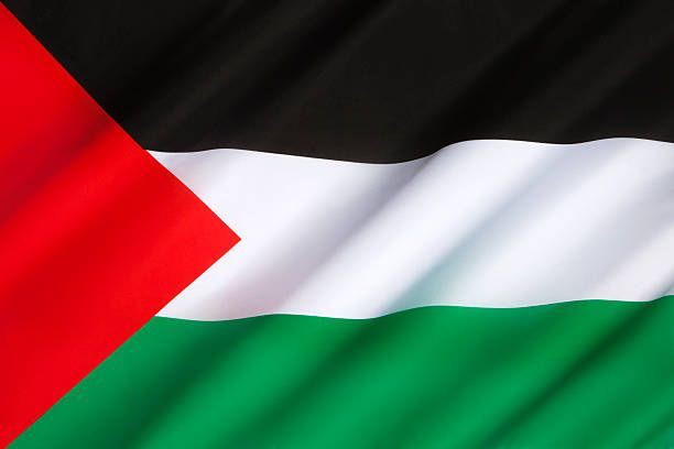 🇵🇸❗️ Palestina: Contexto & Strike❗️🇵🇸 Uma thread informativa para explicar e ajudar aqueles que ainda estão por fora do assunto! #FreePalesine