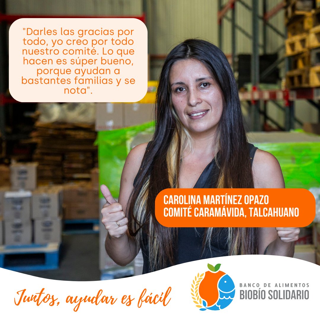 Banco de Alimentos Biobío Solidario tweet media