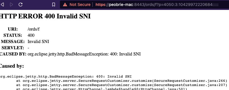 pobalopalous's tweet image. I try to get an article out once a month and I realised a few hours ago I was running out of February! Here you go...more info than you ever wanted to know about that "Invalid SNI" error #EclipseJetty #OracleREST
peterobrien.blog/2024/02/29/inv…