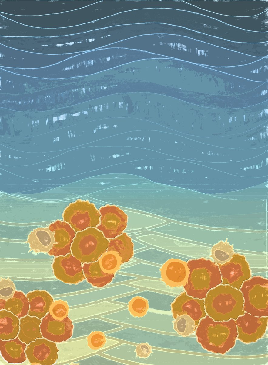 From the latest issue—
#NKG2A is a Therapeutic Vulnerability in #Immunotherapy Resistant MHC-I Heterogeneous Triple Negative #BreastCancer, by <a href="/BCT255/">Brandie Taylor</a>, <a href="/SXPung/">Xiaopeng</a>, <a href="/BalkoLab/">BalkoResearchLab</a> et al.
bit.ly/49WMp43
<a href="/VUMCDiscoveries/">Vanderbilt University Medical Center</a> #TNBC