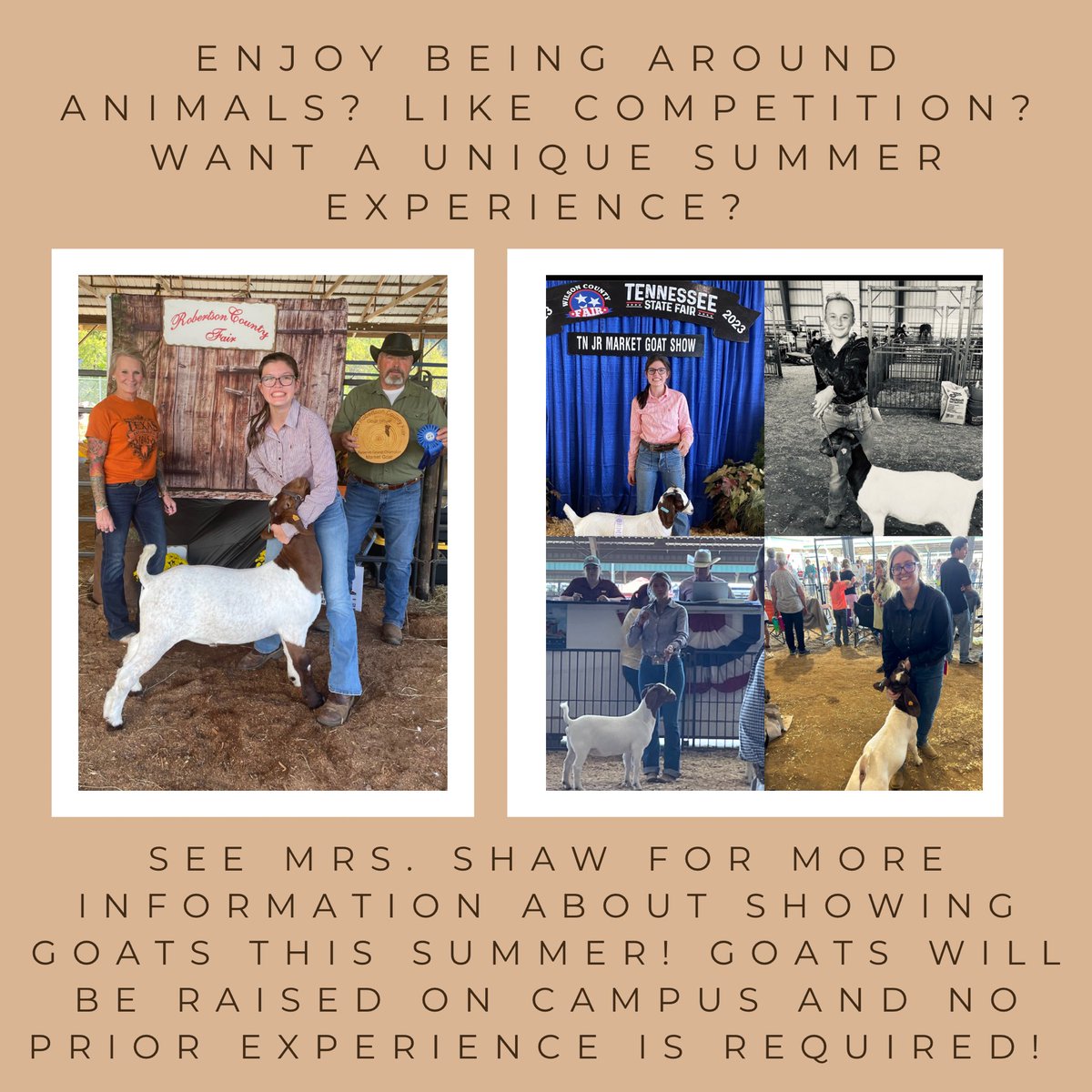 Want to show goats this summer? See Mrs. Shaw in M5 for more information or any questions!