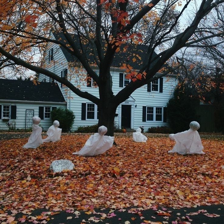 thespookygirll's tweet photo. 👻🎃🌧️ https://t.co/OShd834ei0