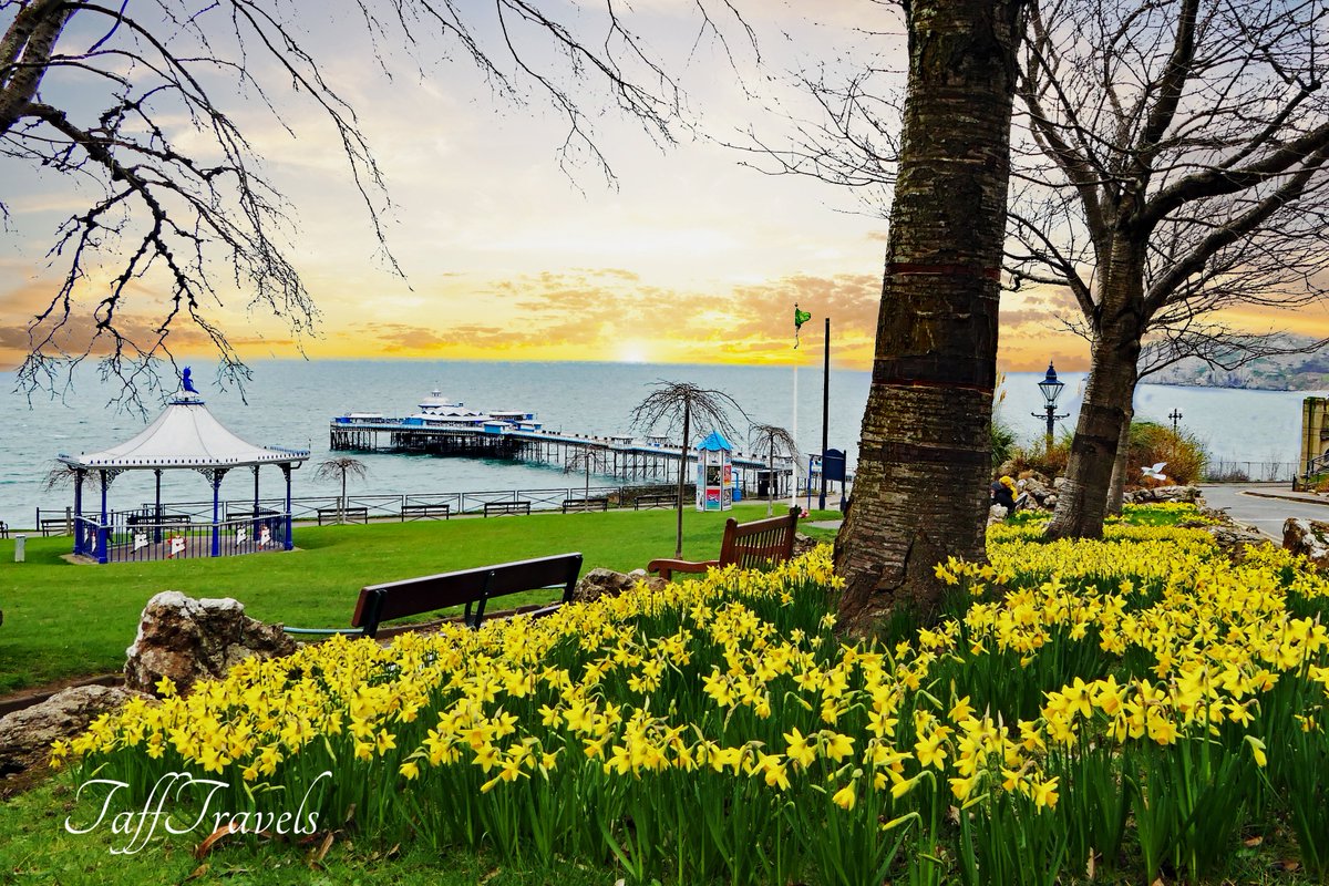 Happy 1st of the Month & New Calendar Pic Day March the 1st & the start of spring (if only the weather knew😁 Llangollen Pic is the Crocus at @PlasNewyddLlan & the magnificent @PierLlandudno @LlangollenTIC @Visiting_Conwy @ItsYourWales @beauty_wales #Wales #StDavidsDay 🏴󠁧󠁢󠁷󠁬󠁳󠁿🏴󠁧󠁢󠁷󠁬󠁳󠁿🏴󠁧󠁢󠁷󠁬󠁳󠁿🏴󠁧󠁢󠁷󠁬󠁳󠁿