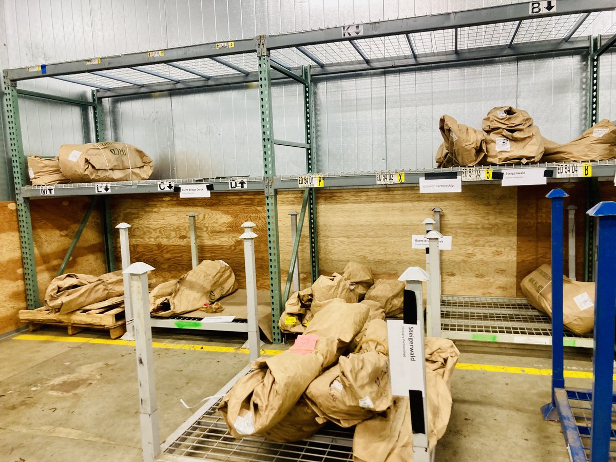 Estuary Partnership (@columbiaestuary) on Twitter photo Those bags contain hundreds of bareroot plants in cold storage. Special shout-out to <a href="/BESPortland/">BESPortland</a> for generously sharing their cooler space with us for the past 2 planting seasons! This year we are moving 30,000(!) plants for planting projects across the region. Thank you, BES! Those bags contain hundreds of bareroot plants in cold storage. Special shout-out to <a href="/BESPortland/">BESPortland</a> for generously sharing their cooler space with us for the past 2 planting seasons! This year we are moving 30,000(!) plants for planting projects across the region. Thank you, BES!