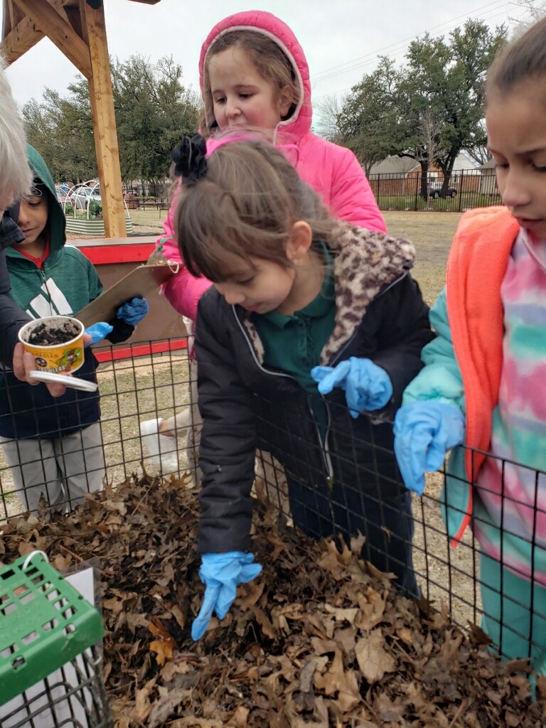 Metrocrest Services tweet media