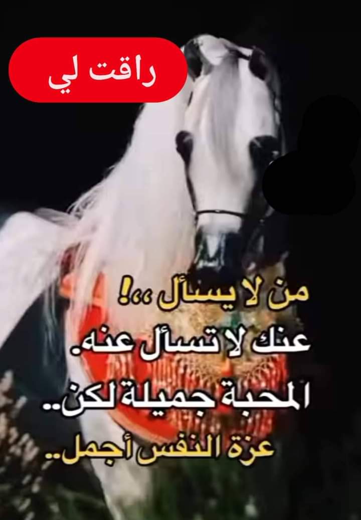 mis Tatou (@tatoumis) on Twitter photo 