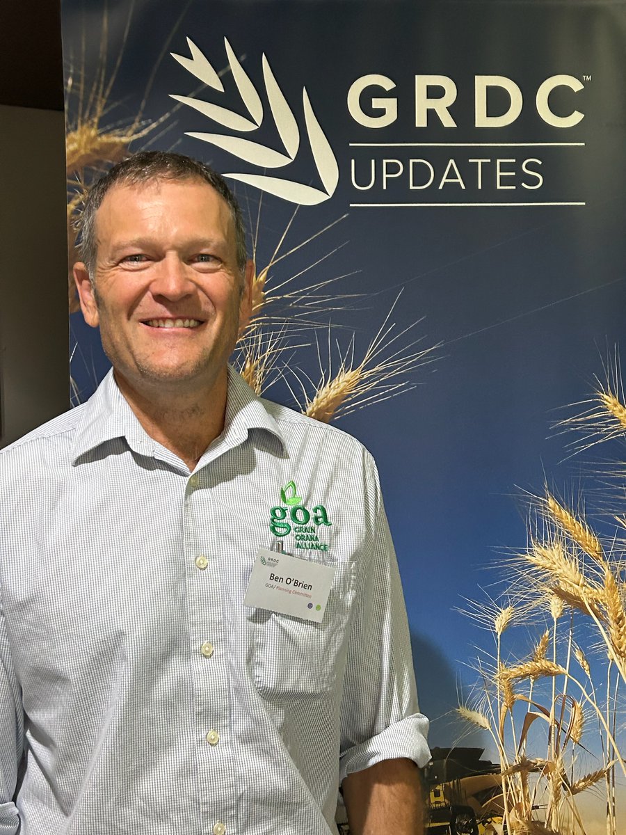 Crown rot - major driver of yield losses. Can it be mitigated by increasing plant populations?
Ben O'Brien <a href="/bennyobGOA/">Ben Obrien</a> <a href="/GrainOrana/">GOA</a> 
Paper: bit.ly/49xp6hm
#GRDCUpdates #Dubbo
