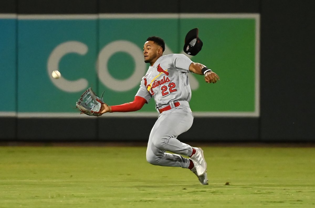 Victor Scott II has been sitting under the learning tree of a pair of #STLCards Hall of Famers during camp. How the reigning Minors co-SB champ has put himself in contention for an Opening Day roster spot: atmlb.com/4bYFuZE