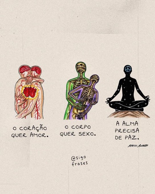 Brigas de mulheres (@brigademulhers) on Twitter photo 