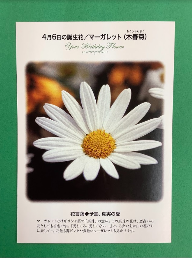 誕生花ポストカード】 4/6の #誕生花 は『マーガレット』 マーガレット