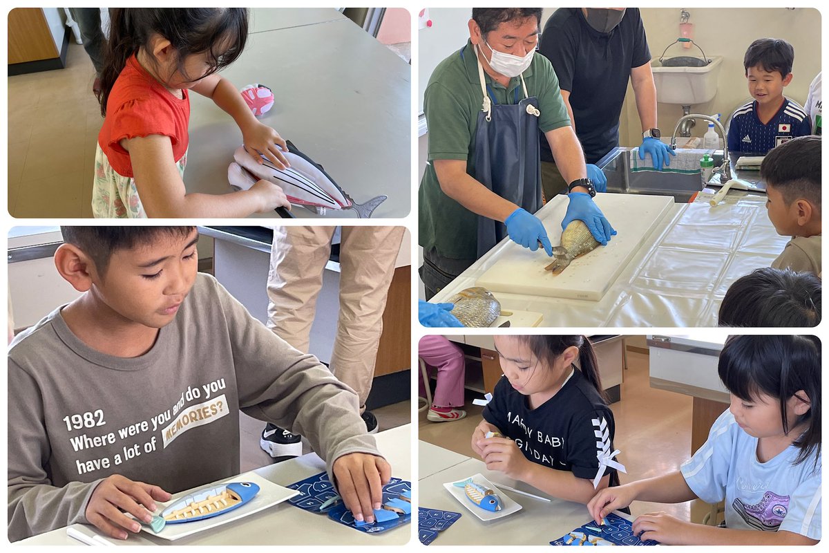 （お魚教室）地域にある水産海洋技術センターの協力で、『お魚教室』をしました。魚の食べ方（骨にかからない食べ方）や1尾を3枚におろす方法を模型やぬいぐるみを使って練習したり、本物の魚（タマン）をさばく実演を見せてもらったり…。最後はタマンの刺身をいただいて…。とても美味しかったです😋