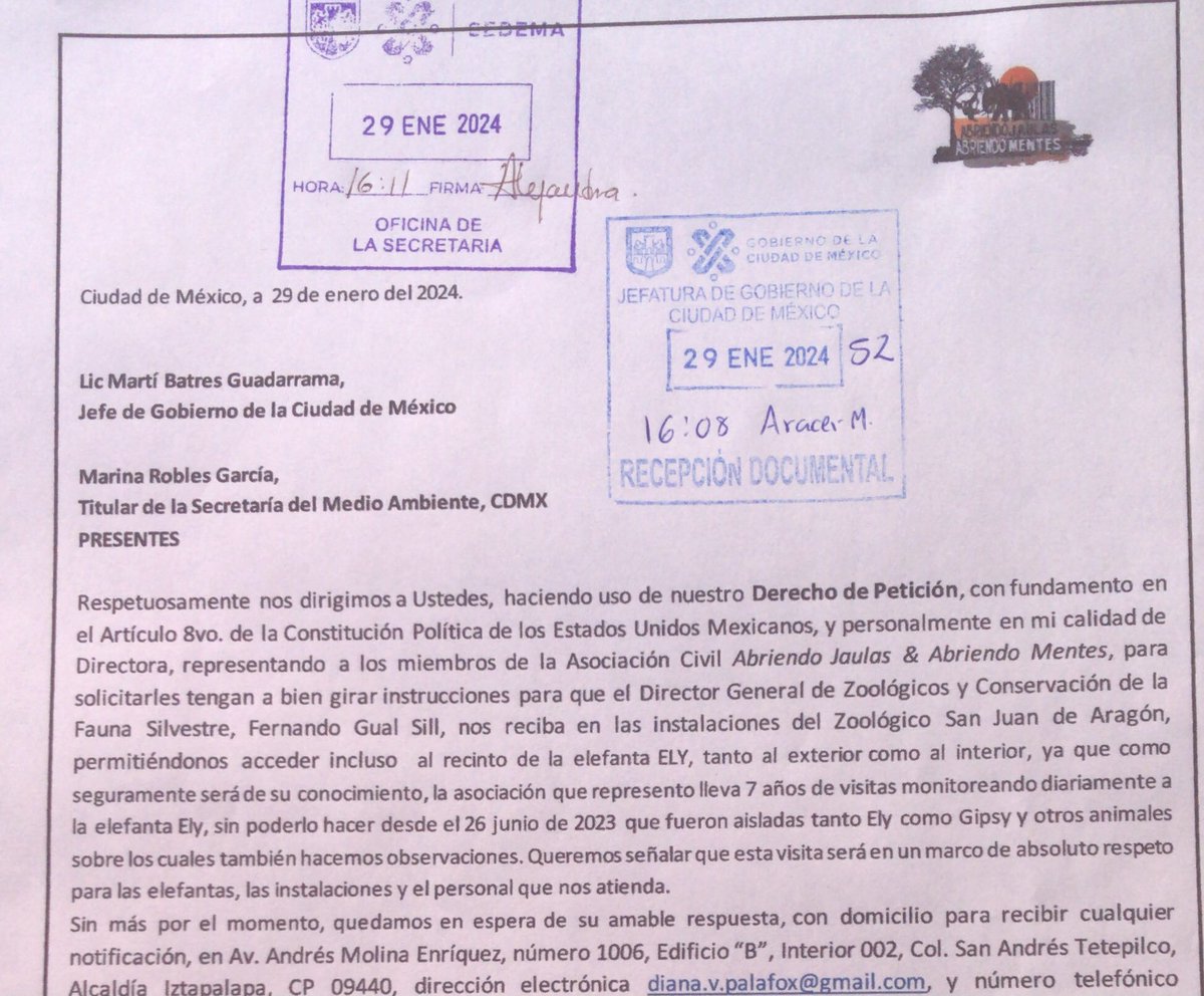 Abriendo jaulas & abriendo mentes tweet media