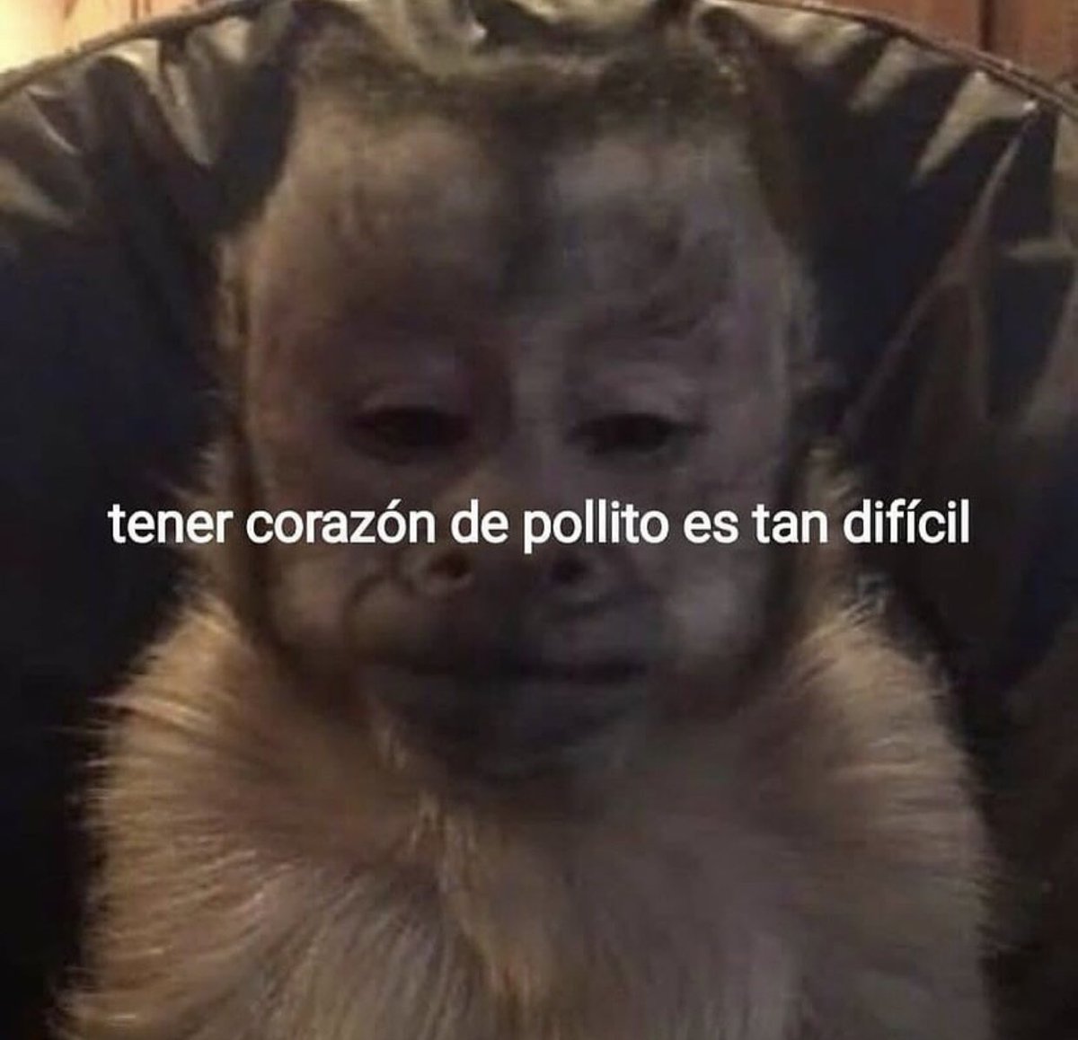 Tal cual
