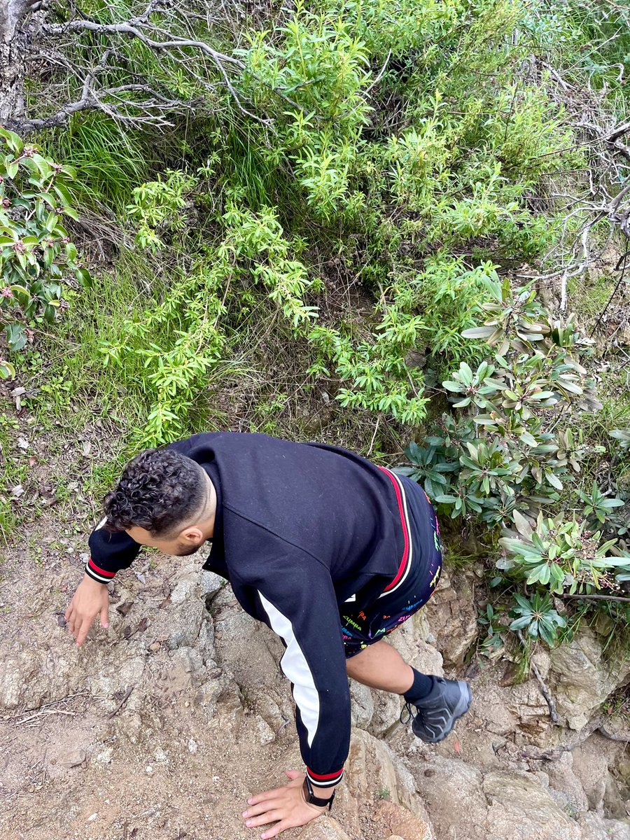 Danilofnsilva's tweet photo. Hike At #WattlesParkRidgeTrail with some fellows from the program. Sponsored by the #ThePhoenixApp an app for the #sobercommunity https://t.co/arwnbiROle