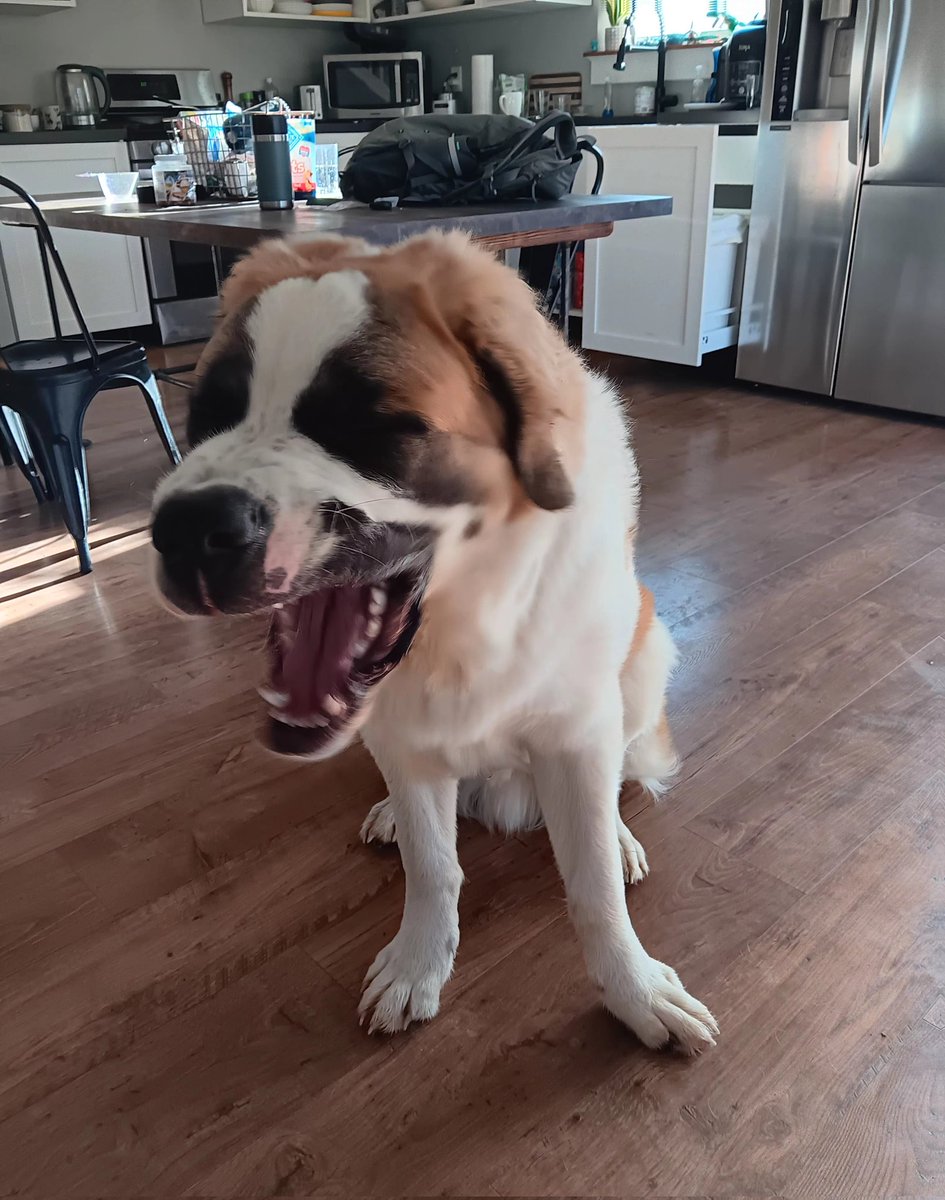 introvertedpnw's tweet image. Hope everyone is doing well! I started a new job, so time to post is lacking. Here&apos;s the trifecta of amazingness!