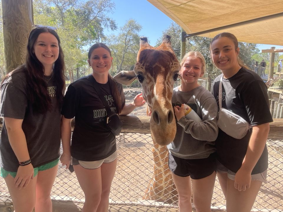 What a good week in the beautiful Florida weather. ☀️ We fed some giraffes, ate LOTS of good food and ice cream, AND came away with some really solid wins! Excited to see what this crew is going to do this year. 💪🏼💚