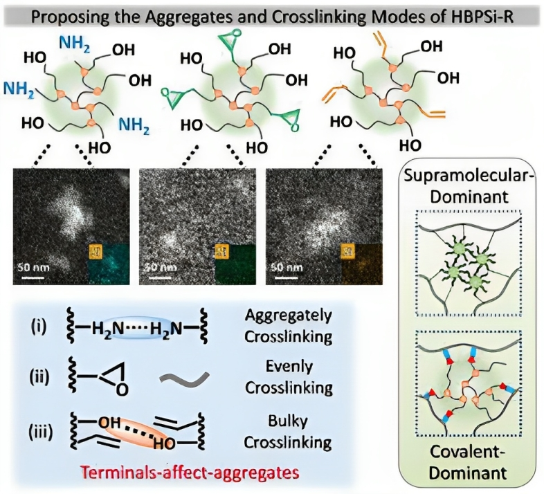 AggregateOA's tweet photo. New Research Article🔬
"Toward understanding the cross-linking from molecular chains to #aggregates by engineering terminals of #supramolecular #hyperbranched #polysiloxane" by Hongxia Yan et al. @NPUintl @Wiley_Chemistry #crosslinking #polymers
Check👉https://t.co/lZ6e1ik5Hd https://t.co/QvnMfztG0o