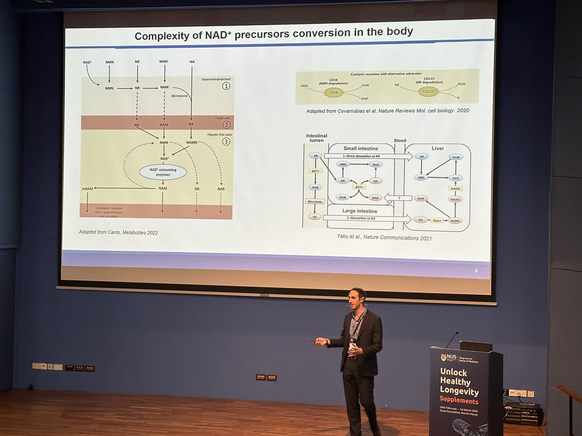 Professor @Vinz_Sorrentino shared the new NAD+ precursors at the #UHL24, such as NRH, NMNH, and trigonelline. He also highlighted the importance and complexity of NAD+ researches for pursuing #longevity.
