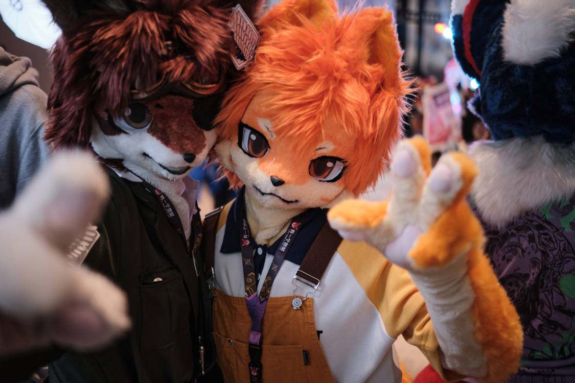 “哈喽！你也是来聚会玩的吗？” 左 @FOXcrowing