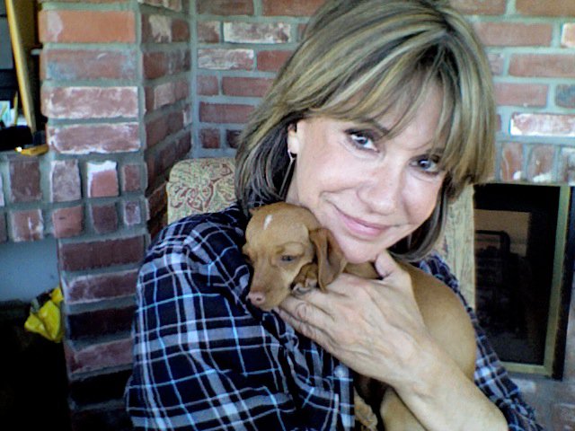 Sweet little Rita Hayworth when she was a puppy. I told John we were simply fostering, but he knew I would have to keep her!