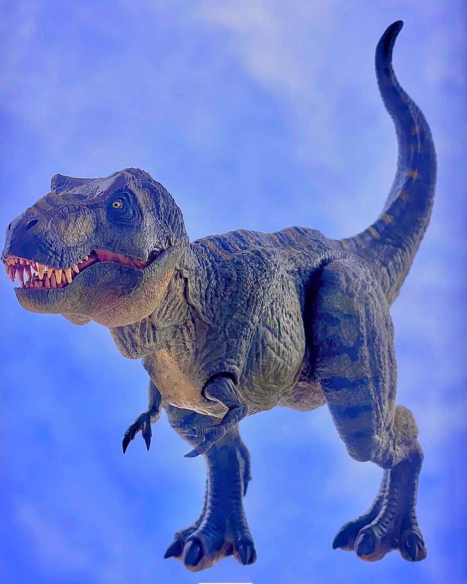 JurassicRepaint's tweet photo. Jurassic Replicas .01
Ultra Bull 🦖

🦟Modeled and printed in 3D
🦟Articulated at the hips, shoulders and jaws
🦟Great screen accuracy with a retro touch

Want to buy?
More destails soon

#JurassicPark #3Dprinting #3d #trex #jurassicworld #jurassicrepaints #jurassicreplicas https://t.co/NDmtEqIK1j
