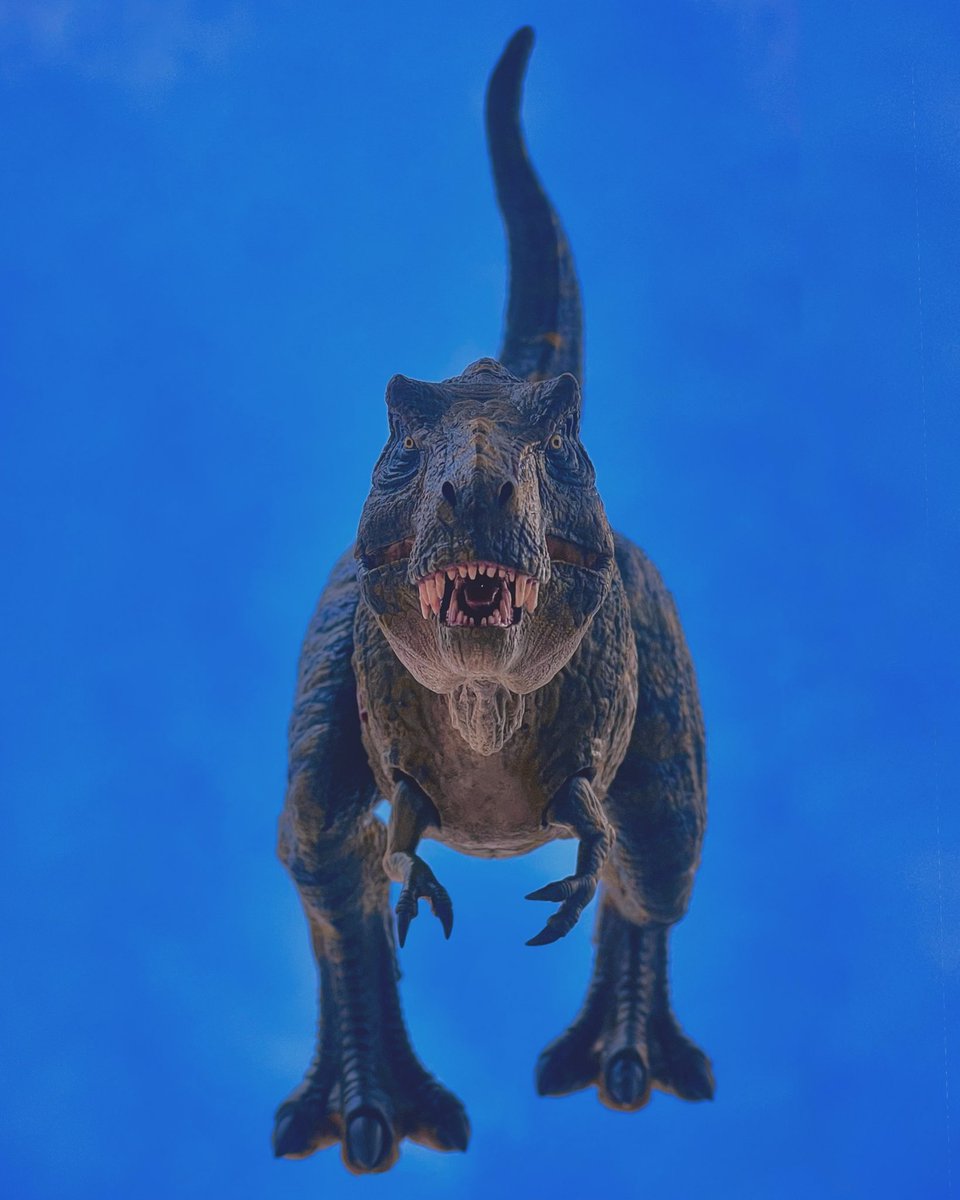 JurassicRepaint's tweet photo. Jurassic Replicas .01
Ultra Bull 🦖

🦟Modeled and printed in 3D
🦟Articulated at the hips, shoulders and jaws
🦟Great screen accuracy with a retro touch

Want to buy?
More destails soon

#JurassicPark #3Dprinting #3d #trex #jurassicworld #jurassicrepaints #jurassicreplicas https://t.co/NDmtEqIK1j