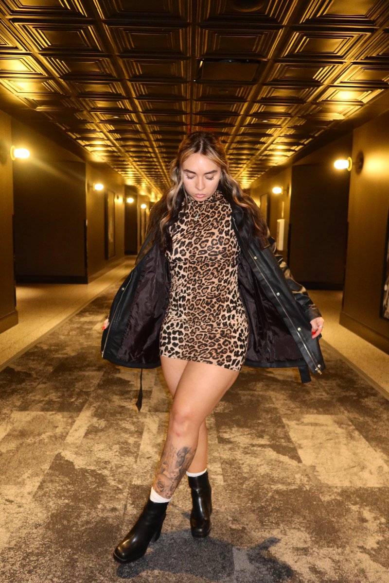 dj bogert (@djbogert)  X