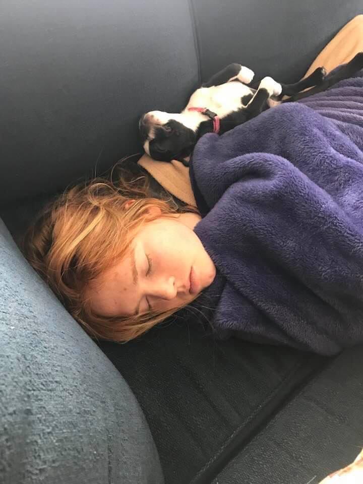 Sleep time x 2. 💙💙 #petsofx #bostonterrier #naptime