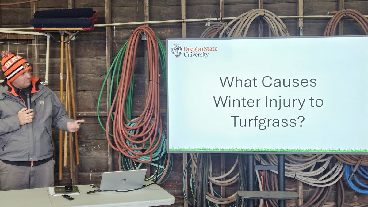 David Phipps (@gcsaa_nw) on Twitter photo From winter injury to microdochium patch, it's all covered at the <a href="/osubeaverturf/">Oregon State Turf</a> Winter Field Day! From winter injury to microdochium patch, it's all covered at the <a href="/osubeaverturf/">Oregon State Turf</a> Winter Field Day!