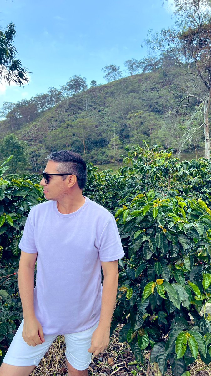 aljandu's tweet photo. Cafetales de mi #NorteDeSantander #chinacota #29FEB24 https://t.co/mDkFRNaJJ1