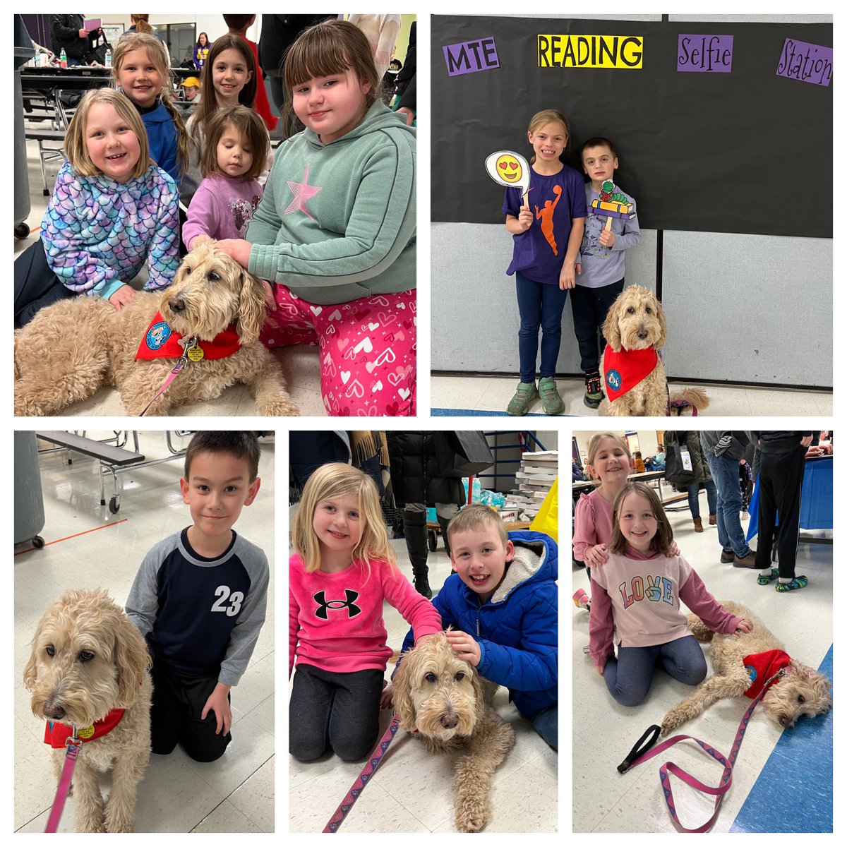 Milton Terrace Elem tweet media