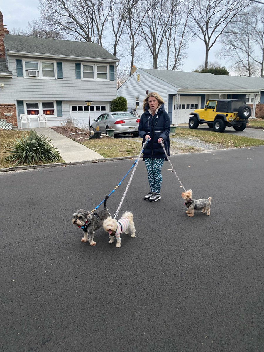 Braving the cold to give the little doggies some extra exercise! 🐶♥️ #WeRBeach #FebruaryFrenzy #BeachAtOurBest @AntrimSchool @StecchiniM @ptbeachsuper