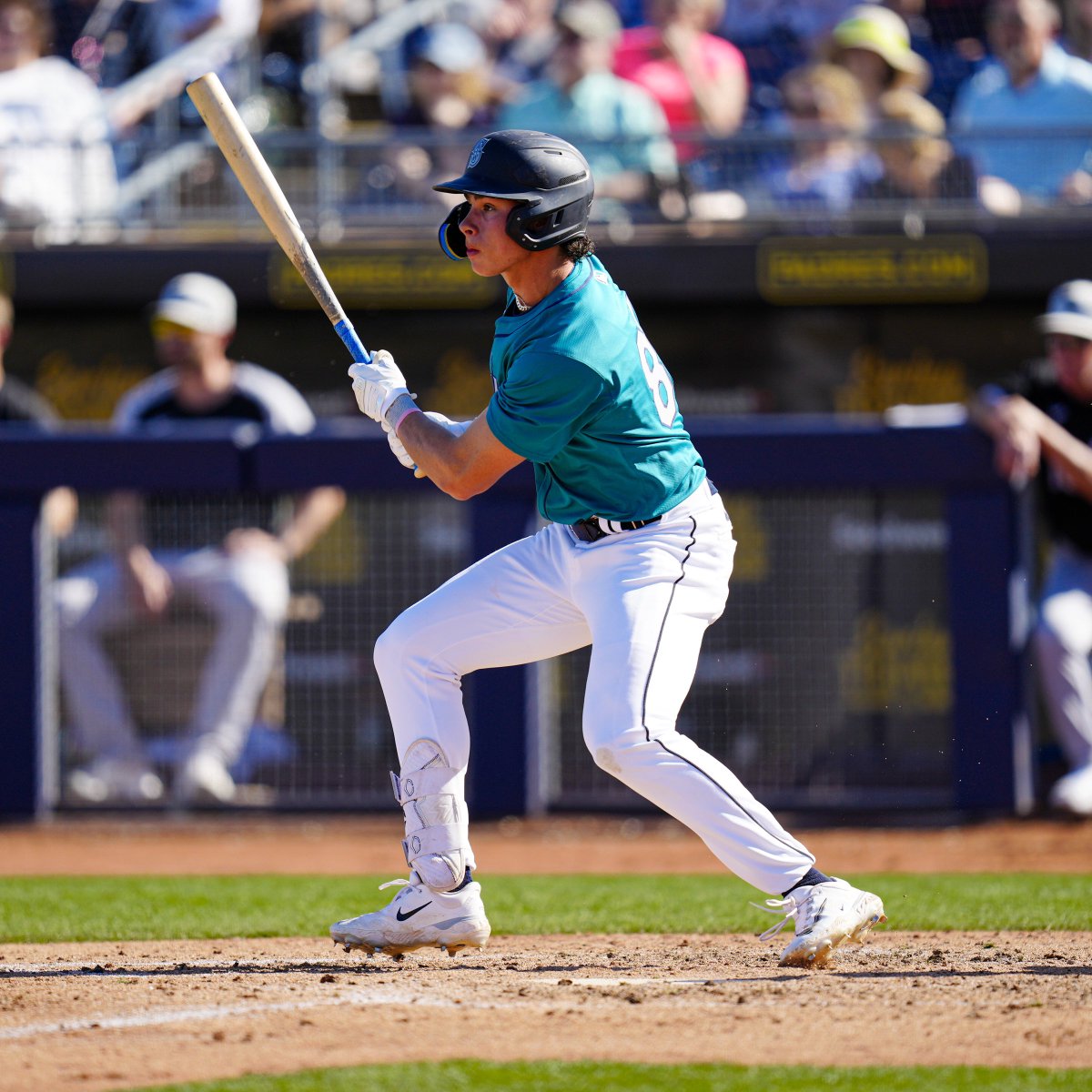 Mariners Player Development tweet media