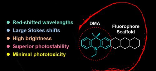 Top Science (@isciverse) on Twitter photo Auxochrome Dimethyl-Dihydroacridine Improves Fluorophores for Prolonged Live-Cell Super-Resolution Imaging
<a href="/J_A_C_S/">J. Am. Chem. Soc.</a> #Chemistry #Science #Chemed
pubs.acs.org/doi/10.1021/ja… Auxochrome Dimethyl-Dihydroacridine Improves Fluorophores for Prolonged Live-Cell Super-Resolution Imaging
<a href="/J_A_C_S/">J. Am. Chem. Soc.</a> #Chemistry #Science #Chemed
pubs.acs.org/doi/10.1021/ja…