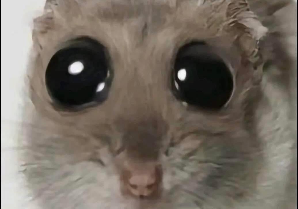 djamba vencida (@brusnos) on Twitter photo 