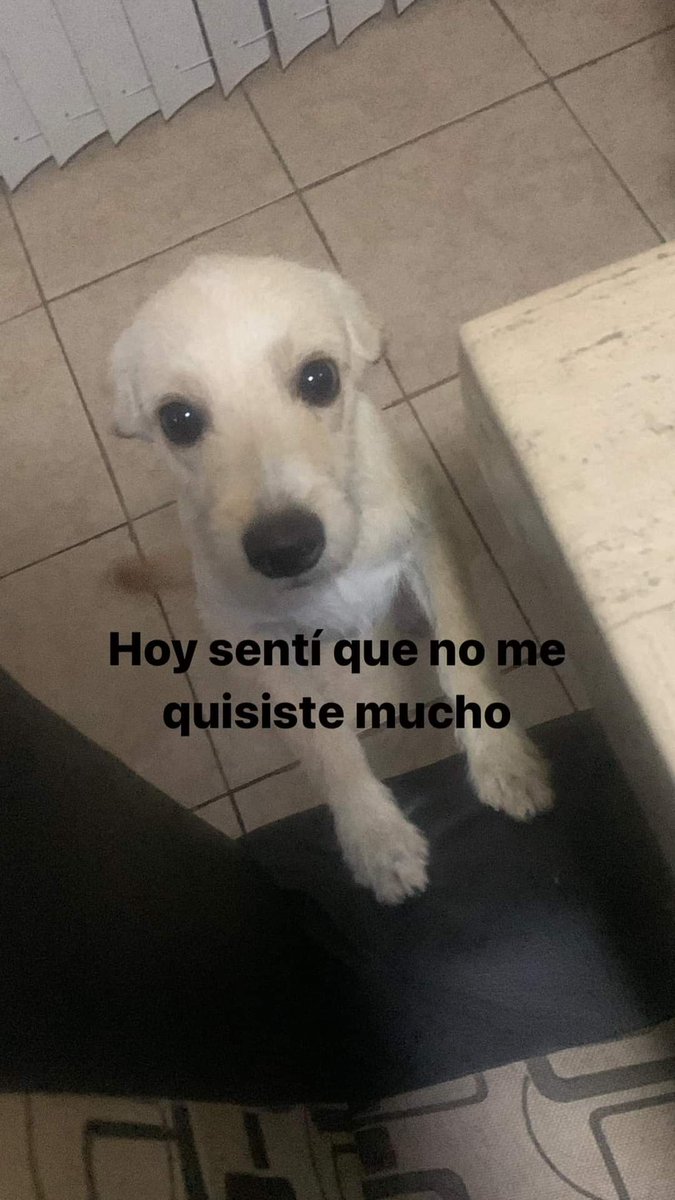 Yo cuando no me dan la atención que quiero: