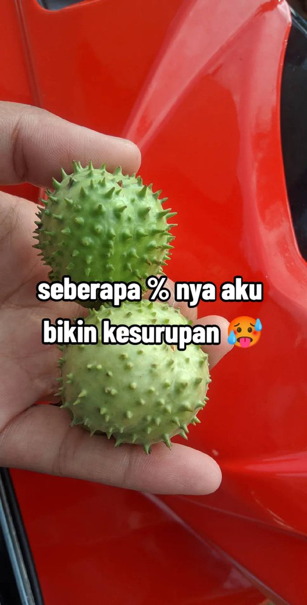 Kumpulan Cerita Lucu Netizen Kesurupan Karna Makan Buah Ini

-a thread
