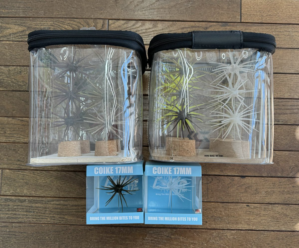 アメリカ🇺🇸遠征の準備も最終段階に突入の今のタイミングでスペシャル