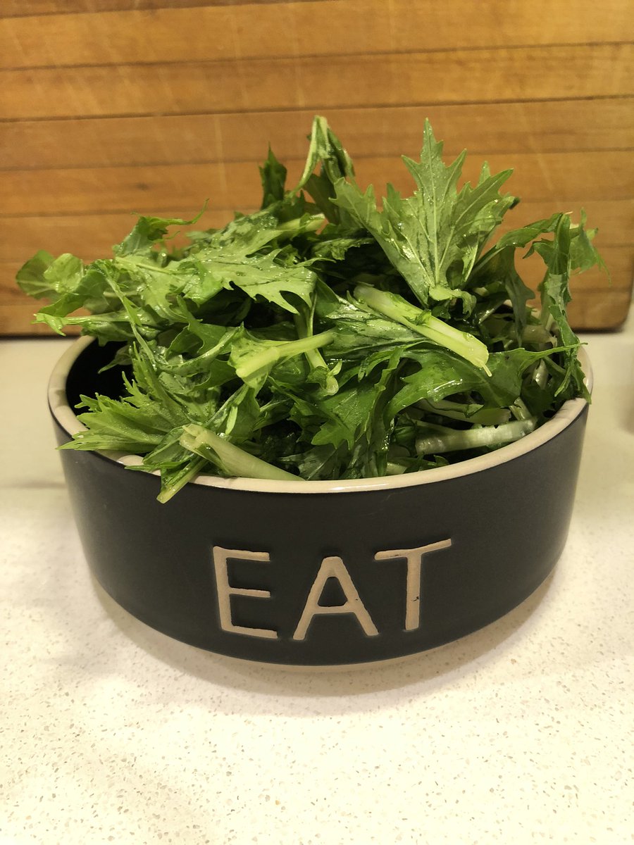silly little puppies need a reminder of what they’re supposed to do with the plant matter in the bowl