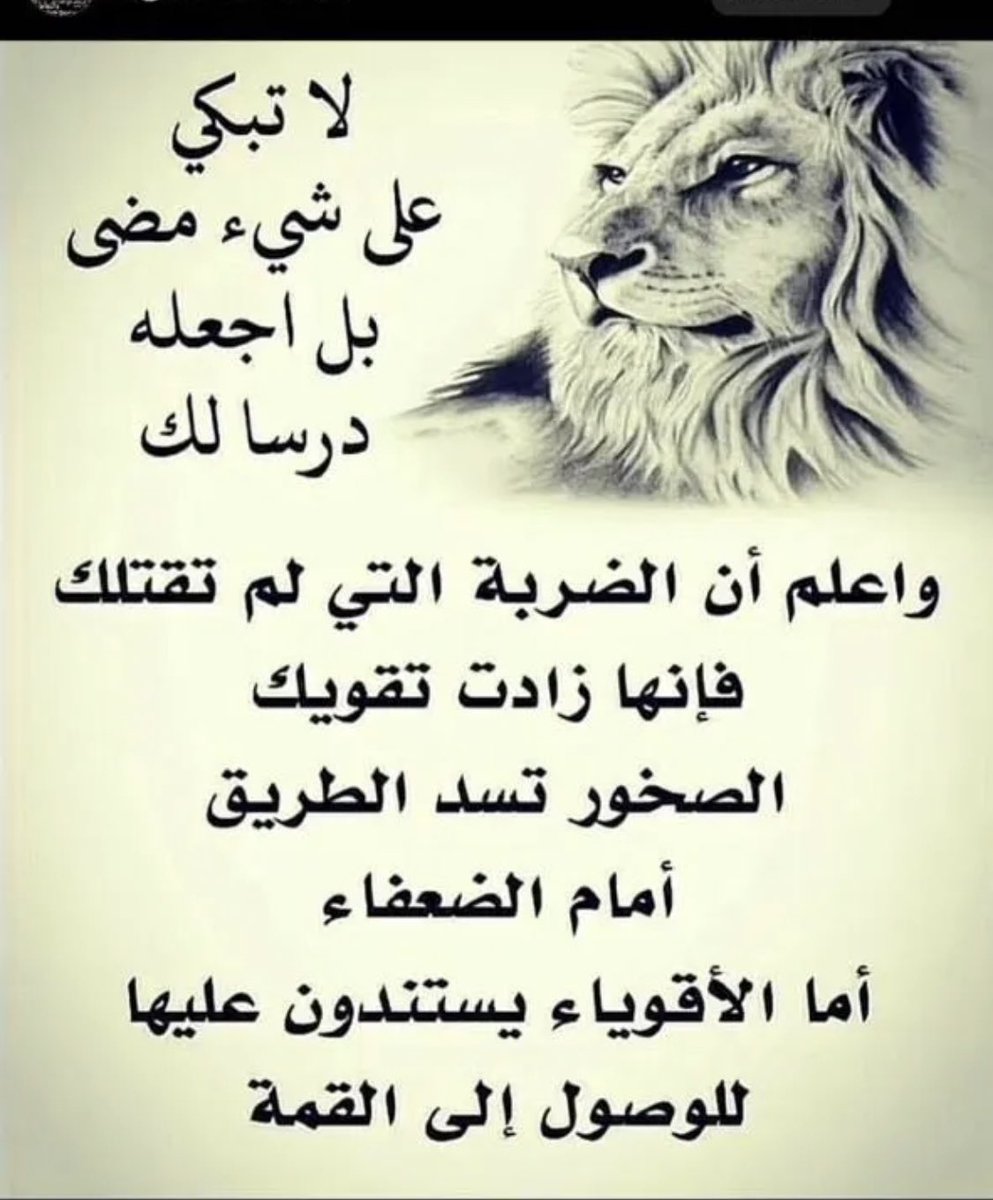 alameri72's tweet image. ✨