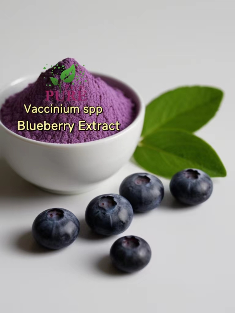 PremPureBio's tweet image. Power of #Blueberries with Our Blueberry Extract(#Vacciniumspp）and #BlueberryJuicePowder!Introduction:
Hello, health enthusiasts! Are you looking to incorporate the rich benefits of blueberries into your lifestyle? We are excited to introduce our premium Blueberry Extract
