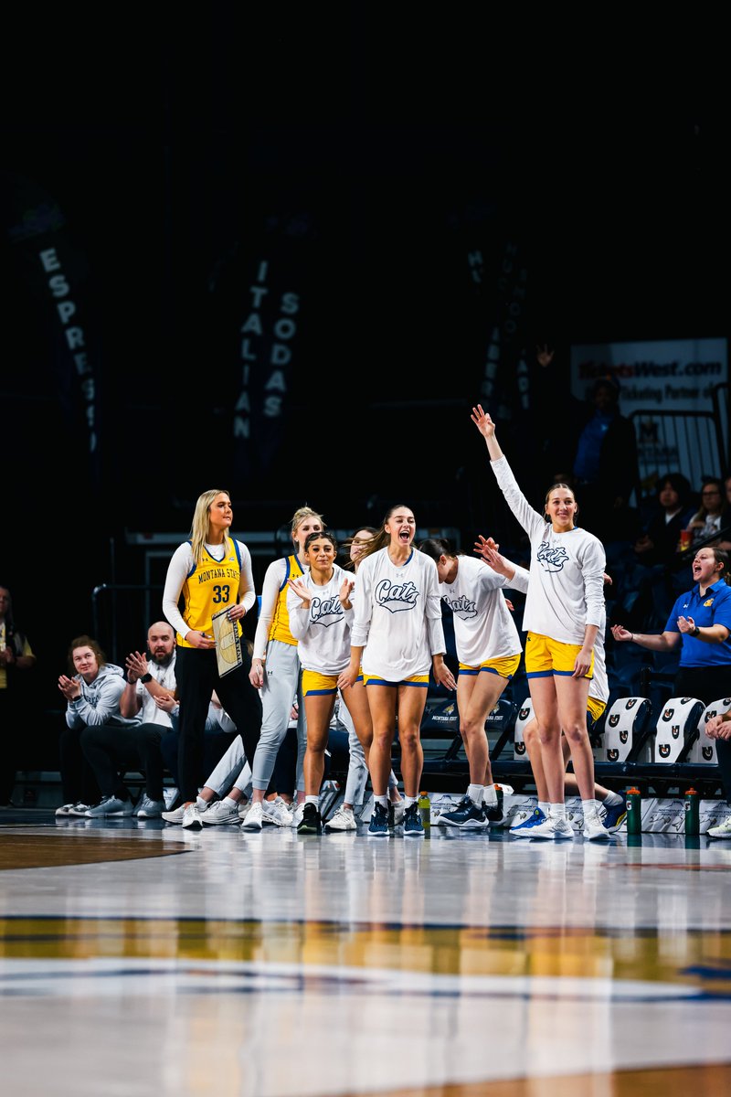 Montana State WBB tweet media