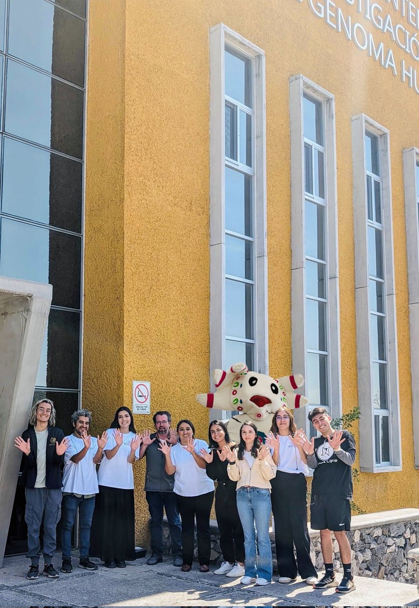El Laboratorio de Genómica Mendeliana y Salud de Precisión del <a href="/LIIGH_UNAM/">LIIGH</a> se unió hoy a la conmemoración del #DiaMundialdelasEnfermedadesRaras
que se celebra el último día de febrero con nuestro ajolote cebra favorito!
#RareDiseaseDay2024  #RareDiseaseDay 🦓🧬