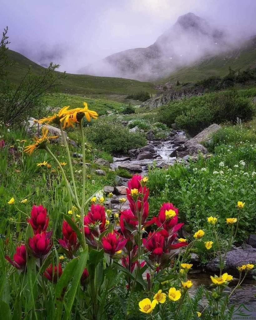 JamesJourney4u's tweet image. March in like a lion, out like a lamb?  More like, March in with stunning landscapes!  Blooming flowers, fluffy clouds over majestic mountains, and vibrant green slopes. Spring is on its way, and I can&apos;t wait!  #MarchVibes #BeautifulDay